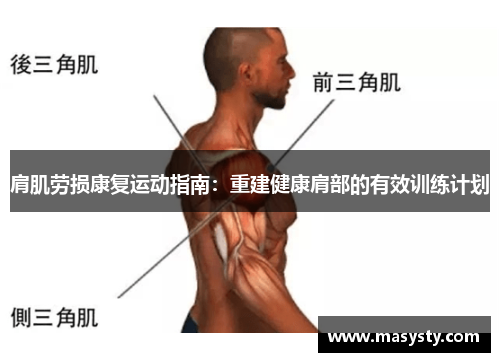 肩肌劳损康复运动指南：重建健康肩部的有效训练计划